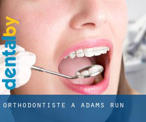 Orthodontiste à Adams Run