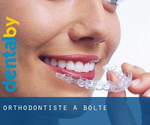 Orthodontiste à Bolte