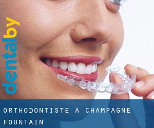 Orthodontiste à Champagne Fountain