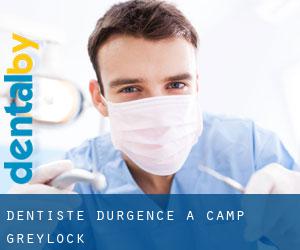 Dentiste d'urgence à Camp Greylock