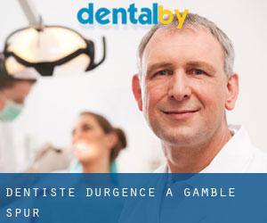 Dentiste d'urgence à Gamble Spur