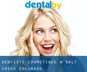 Dentiste cosmétique à Salt Creek (Colorado)