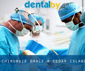 Chirurgie orale à Cedar Island