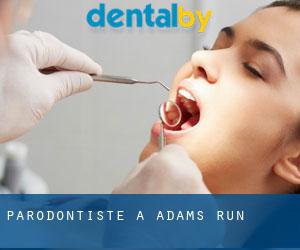 Parodontiste à Adams Run