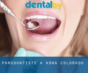 Parodontiste à Adna (Colorado)