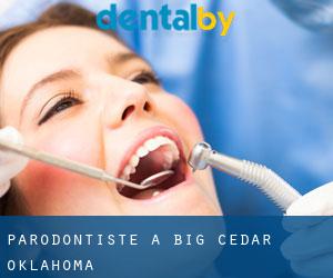 Parodontiste à Big Cedar (Oklahoma)