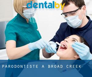 Parodontiste à Broad Creek