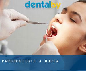 Parodontiste à Bursa