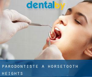 Parodontiste à Horsetooth Heights