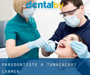 Parodontiste à Tumacacori-Carmen