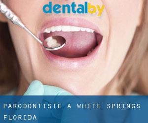 Parodontiste à White Springs (Florida)