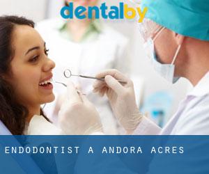 Endodontist à Andora Acres