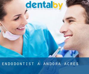 Endodontist à Andora Acres