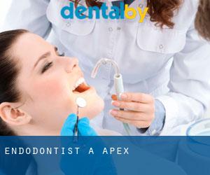 Endodontist à Apex