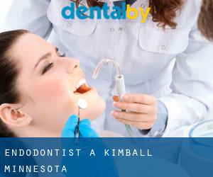 Endodontist à Kimball (Minnesota)