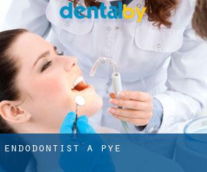 Endodontist à Pye