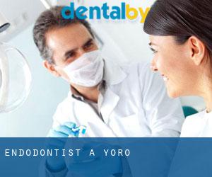 Endodontist à Yoro