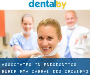Associates In Endodontics: Burke Ema Cabral DDS (Crowleys Corner)