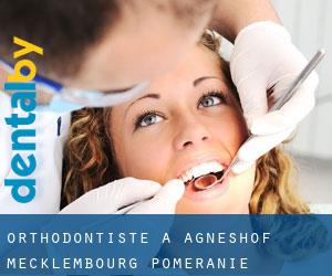 Orthodontiste à Agneshof (Mecklembourg-Poméranie)