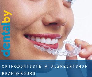 Orthodontiste à Albrechtshof (Brandebourg)