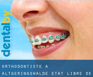 Orthodontiste à Altgeringswalde (État libre de Saxe)