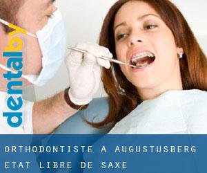 Orthodontiste à Augustusberg (État libre de Saxe)