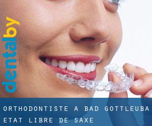 Orthodontiste à Bad Gottleuba (État libre de Saxe)