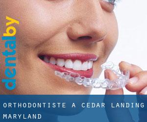 Orthodontiste à Cedar Landing (Maryland)