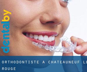 Orthodontiste à Châteauneuf-le-Rouge