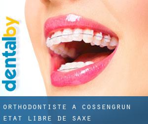 Orthodontiste à Cossengrün (État libre de Saxe)