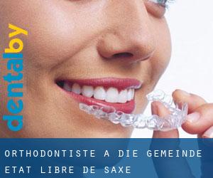 Orthodontiste à Die Gemeinde (État libre de Saxe)