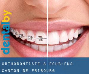 Orthodontiste à Ecublens (Canton de Fribourg)