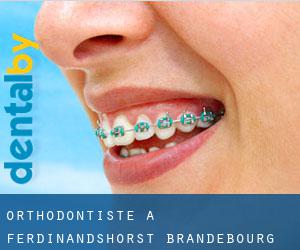 Orthodontiste à Ferdinandshorst (Brandebourg)