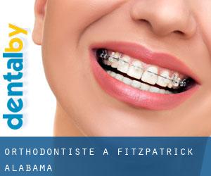 Orthodontiste à Fitzpatrick (Alabama)