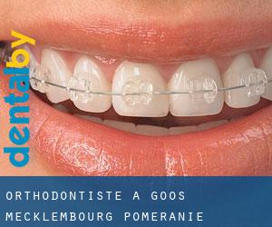 Orthodontiste à Goos (Mecklembourg-Poméranie)