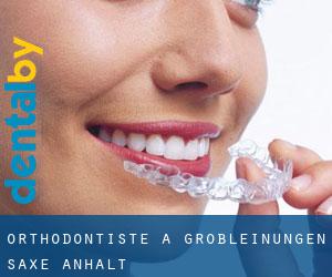 Orthodontiste à Großleinungen (Saxe-Anhalt)