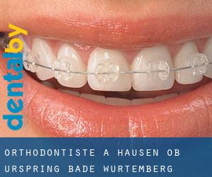 Orthodontiste à Hausen ob Urspring (Bade-Wurtemberg)