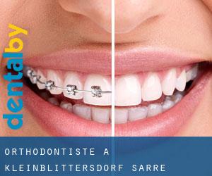 Orthodontiste à Kleinblittersdorf (Sarre)