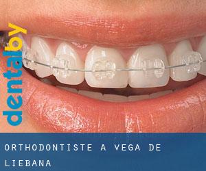 Orthodontiste à Vega de Liébana