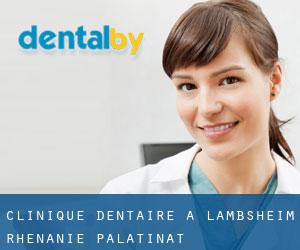 Clinique dentaire à Lambsheim (Rhénanie-Palatinat)