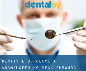 Dentiste d'urgence à Adamshoffnung (Mecklembourg-Poméranie)