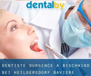 Dentiste d'urgence à Bischwind bei Heilgersdorf (Bavière)