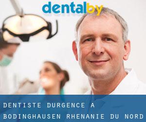 Dentiste d'urgence à Bödinghausen (Rhénanie du Nord-Westphalie)