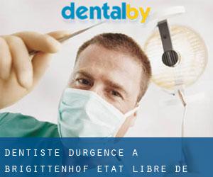 Dentiste d'urgence à Brigittenhof (État libre de Saxe)