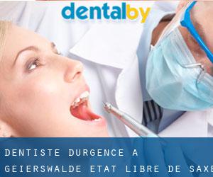 Dentiste d'urgence à Geierswalde (État libre de Saxe)