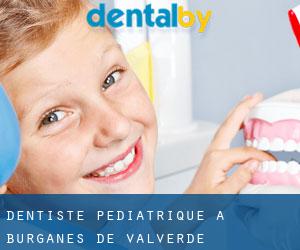 Dentiste pédiatrique à Burganes de Valverde