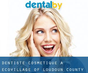 Dentiste cosmétique à EcoVillage of Loudoun County