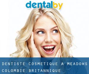 Dentiste cosmétique à Meadows (Colombie-Britannique)
