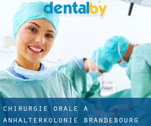 Chirurgie orale à Anhalterkolonie (Brandebourg)