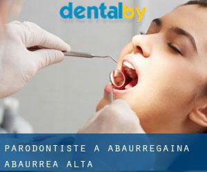 Parodontiste à Abaurregaina / Abaurrea Alta